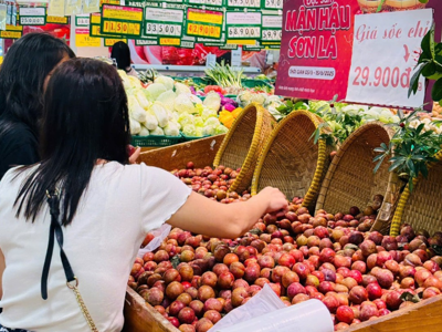 Mận hậu chính vụ: Giá bán thấp hơn và tiêu thụ chậm hơn