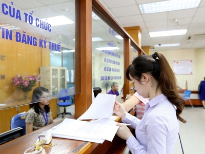 Mức thuế bình quân thu được của hộ kê khai cao gấp 5 lần hộ khoán 