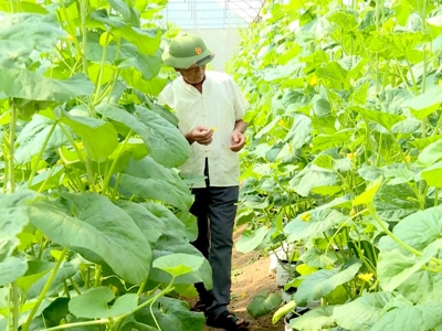 Thanh Hóa đẩy mạnh kết nối thị trường, phát triển nông nghiệp xanh
