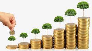 Phân quyền, phân cấp trong lĩnh vực môi trường