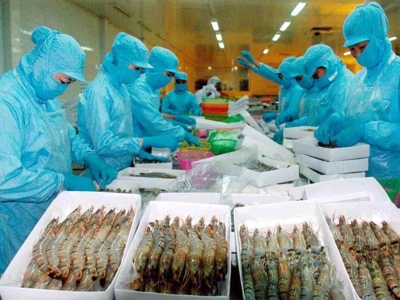 Hoa Kỳ ban hành kết luận sơ bộ trong kỳ rà soát hành chính lần thứ 19 với tôm Việt Nam