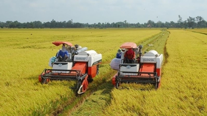 Toward a low-emission agriculture