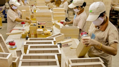 Gần 100 doanh nghiệp xuất khẩu gỗ dán cứng sang Hoa Kỳ bị điều tra kép