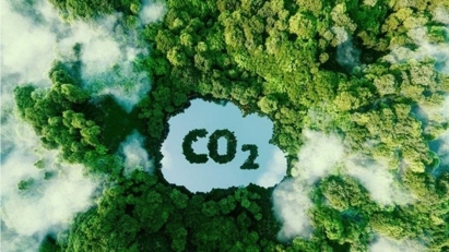 Mức chi trả, giá trao đổi, chuyển nhượng dịch vụ hấp thụ và lưu giữ carbon của rừng