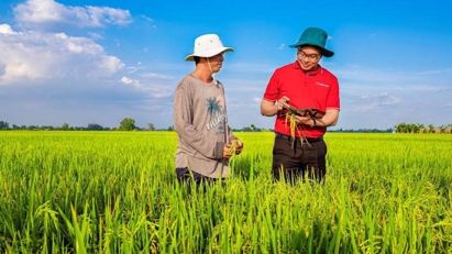 Unsecured loan cap for farmers to increase from July 1