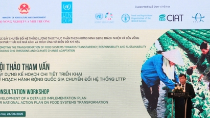 Việt Nam đẩy mạnh chuyển đổi hệ thống lương thực, thực phẩm bền vững