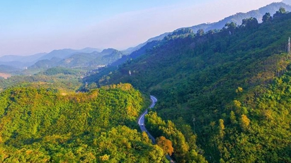 Việt Nam đang dần hoàn thiện khung pháp lý cho thị trường “carbon rừng”