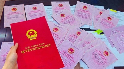 Vụ án Tập đoàn Phúc Sơn: Đề nghị giải tỏa 196 sổ đỏ để khắc phục hậu quả