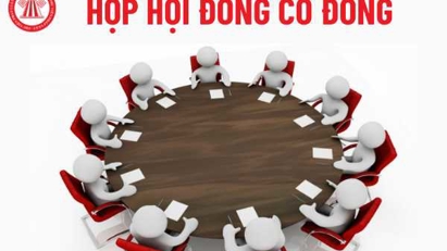 Chưa họp đạo hội cổ đông, BCG và TCD vào diện cảnh báo