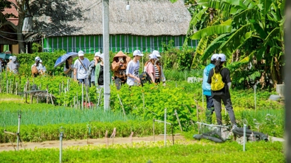 Đà Nẵng – Quảng Nam “về một nhà”: Du lịch xanh lên ngôi