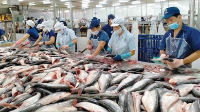 Vietnam's seafood exports hit $5.2 billion in H1