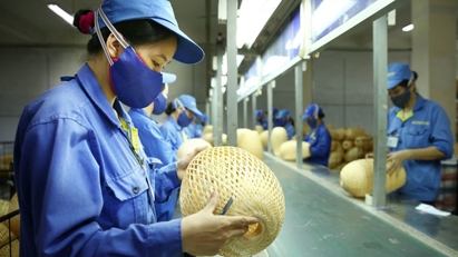 Đề xuất áp dụng thuế suất ưu đãi cho doanh nghiệp dựa trên tổng doanh thu