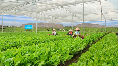 Huế triển khai các dự án thúc đẩy phát triển nông nghiệp thông minh, thích ứng biến đổi khí hậu