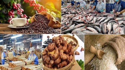 Đẩy mạnh xúc tiến thương mại, mở rộng thị trường xuất khẩu cho các sản phẩm thế mạnh Việt Nam