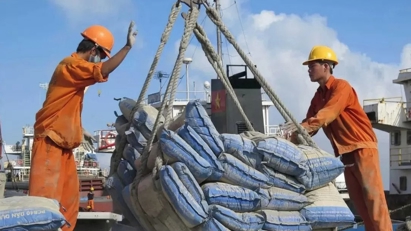 Xi măng, clanhke Việt Nam xuất khẩu sang Đài Loan chịu mức thuế chống bán phá giá trong 5 năm