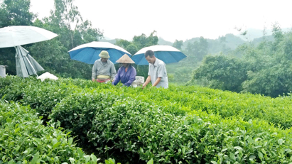 Để giảm nghèo bền vững, cần quan tâm đến sinh kế, nâng cao thu nhập và năng lực cho người dân