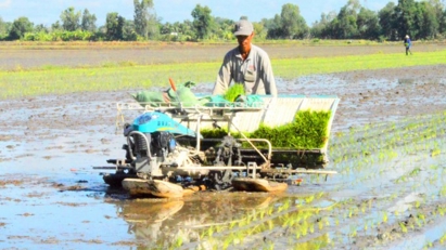 Để đồng bằng sông Cửu Long thành vùng phát thải thấp