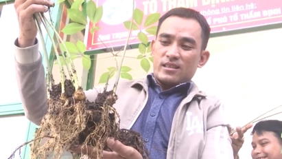 Hơn 2.000 lượt người đến tham quan, mua sắm tại Phiên chợ Sâm Ngọc Linh