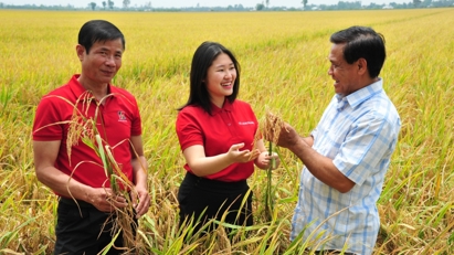 “Ông lớn” tín dụng tam nông dồn vốn cho sản xuất