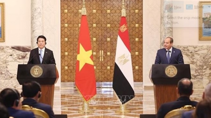 Vietnam, Egypt to explore Free Trade Agreement following the upgrade of bilateral ties