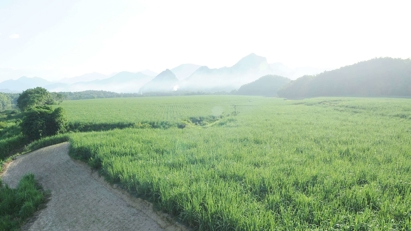 Chuyển đổi xanh giúp doanh nghiệp đáp ứng yêu cầu thị trường, giữ đơn hàng, tăng xuất khẩu