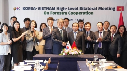 Thúc đẩy hợp tác Việt- Hàn, mở rộng phục hồi rừng, thương mại gỗ và tín chỉ carbon