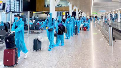 Call for Noi Bai buses to have special priority