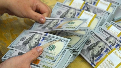 SBV to actively buy foreign currencies
