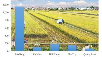 Mechanization in agriculture gains financial support