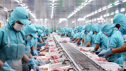 EVFTA boosts seafood exports to EU