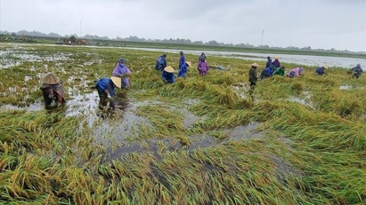 Boosting coverage of agricultural insurance