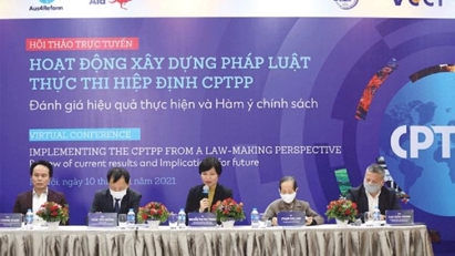 Institutions must improve to adapt to CPTPP challenges