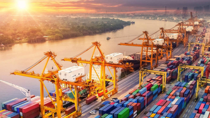 Strong export performance posted in 2021