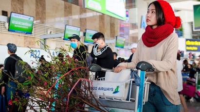 Hàng không kiêm buôn đào, mai Tết, gia tăng đăng nhập bet88 nhập trong thời đại dịch