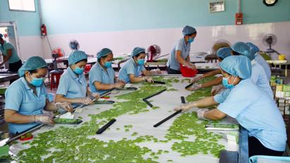 Hỗ trợ doanh nhân nữ trong thương mại điện tử xuyên biên giới