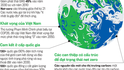 McKinsey khuyến nghị 5 ưu tiên cho hành trình phi carbon hóa ở Việt Nam