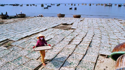 Measures needed to improve fish sauce exports
