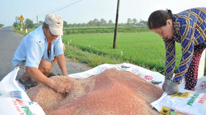 Giá tải bet88 hạ nhiệt: Doanh nghiệp lại lo tồn kho