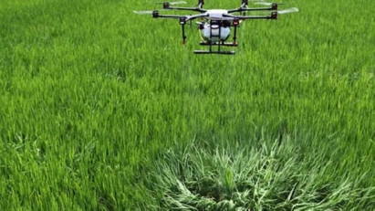 Carbon credits a valuable resource