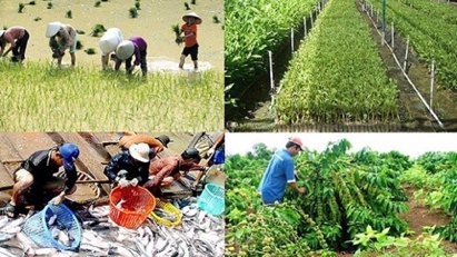 Aquaculture and forestry bright spots in agriculture