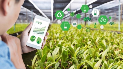 Technology to help forecasting in agricultural market