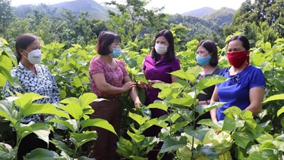 Agricultural information system launched