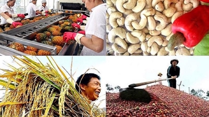 8M agro-forestry-fisheries export value up 13%