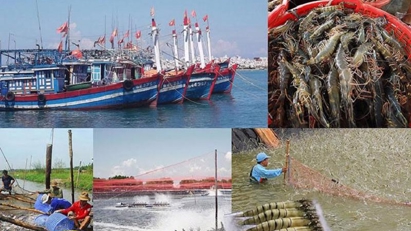 Creating space for seafood industry to develop