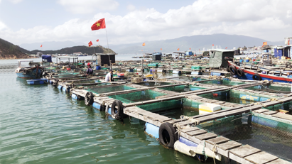 Sustainable development the target in fisheries industry