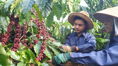 Vietnam second in Asia in exports to Spain