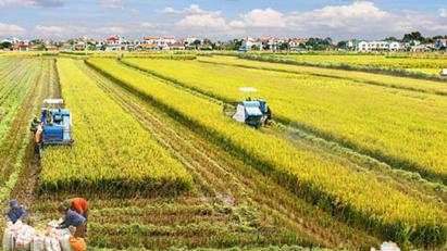 Vietnam making major contribution to global food security