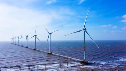 Appraisals of offshore wind power surveys may be suspended