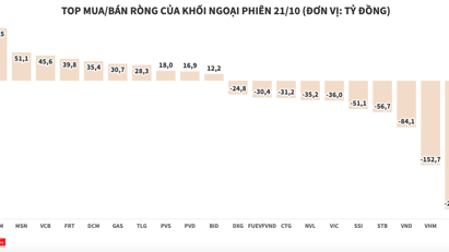 Khối ngoại cũng đua bán ròng trong ngày thị trường đỏ lửa