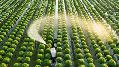 Little capital for high-tech agriculture